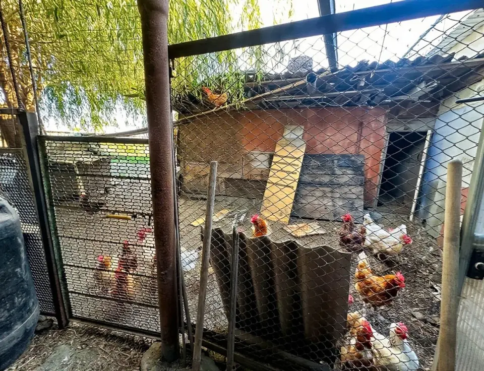 2-этажный дом, 120 м² на 25 сот. в Черноморский х.