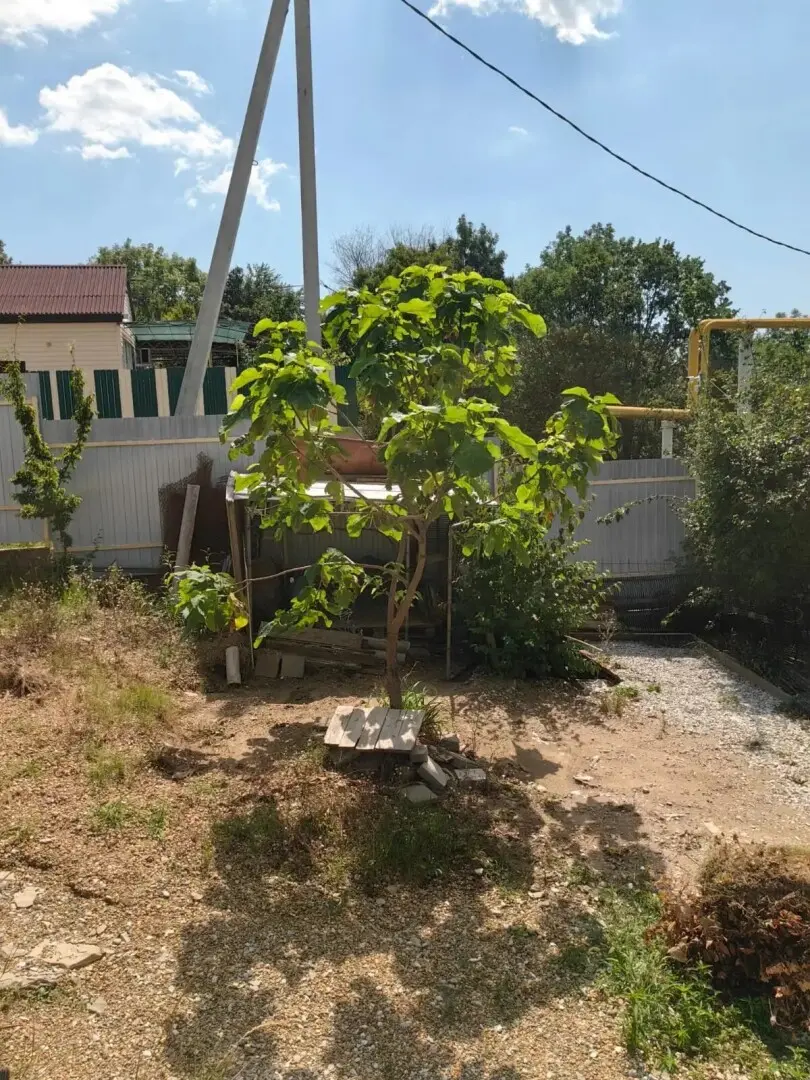 2-этажный дом, 124,2 м² на 10 сот. в Вита снте