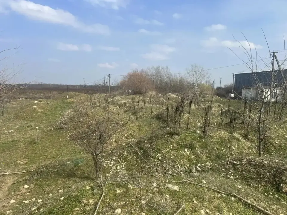 Коммерческое помещение, 46,3 м² в Экономическом