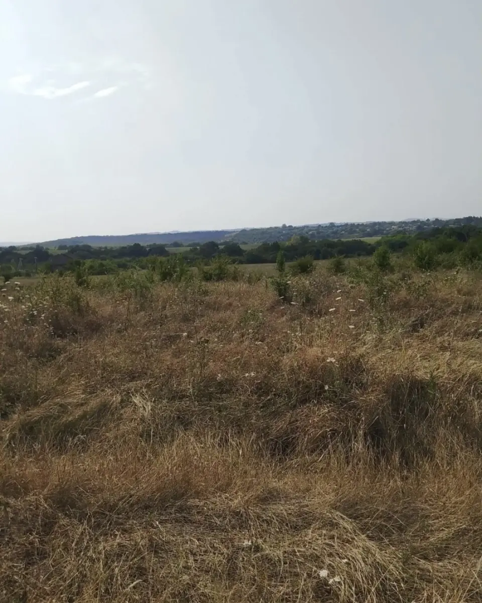 Участок, 16 сот. в Молдаванском