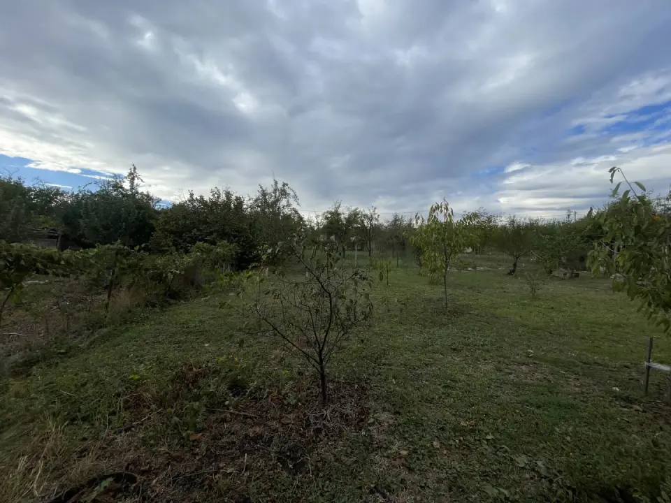1-этажная дача, 45 м² на 5 сот. в сдт Дружба тер.