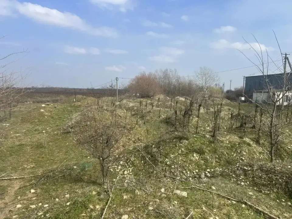 Коммерческое помещение, 46,3 м² в Экономическом