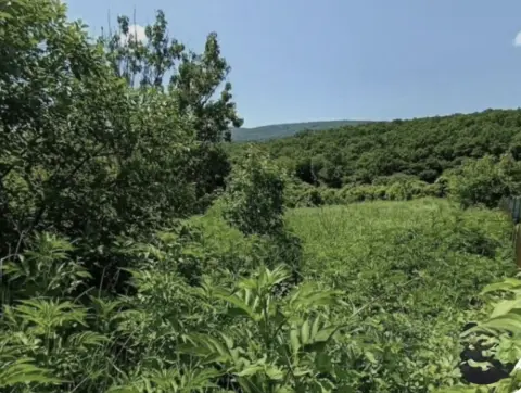 Участок, 940 сот., Личное подсобное хозяйство
