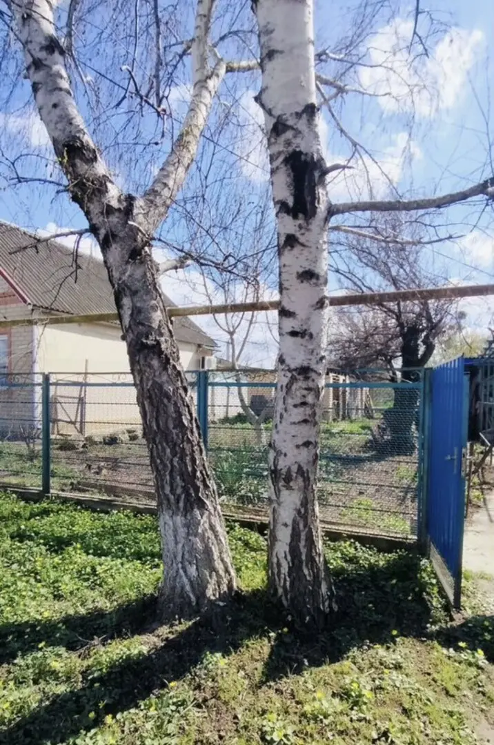 1-этажный дом, 50,9 м² на 11 сот. в Варениковская ст-це