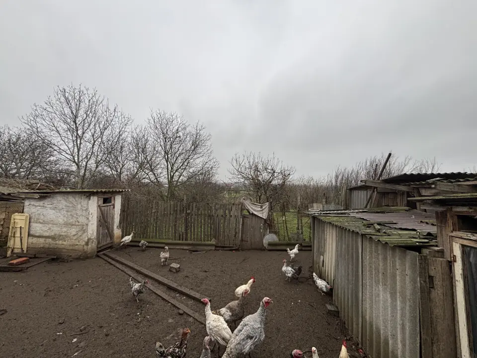 1-этажный дом, 50 м² на 15 сот. в Адагум х.