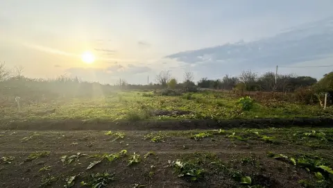 Участок, 6 сот., ИЖС