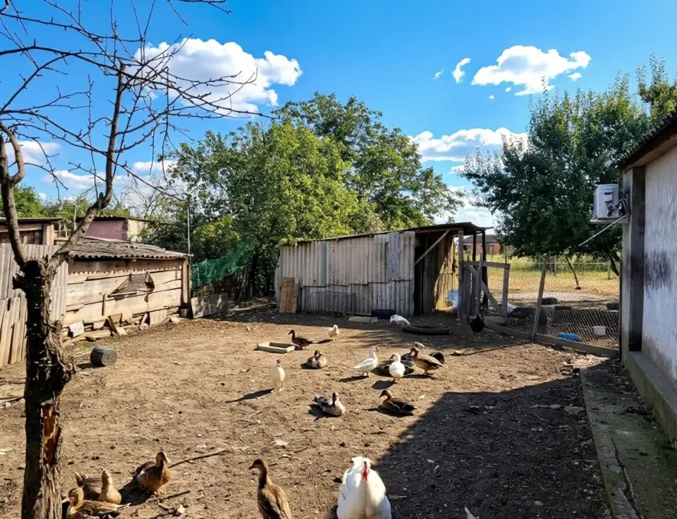 1-этажный дом, 44 м² на 26 сот. в Киевском